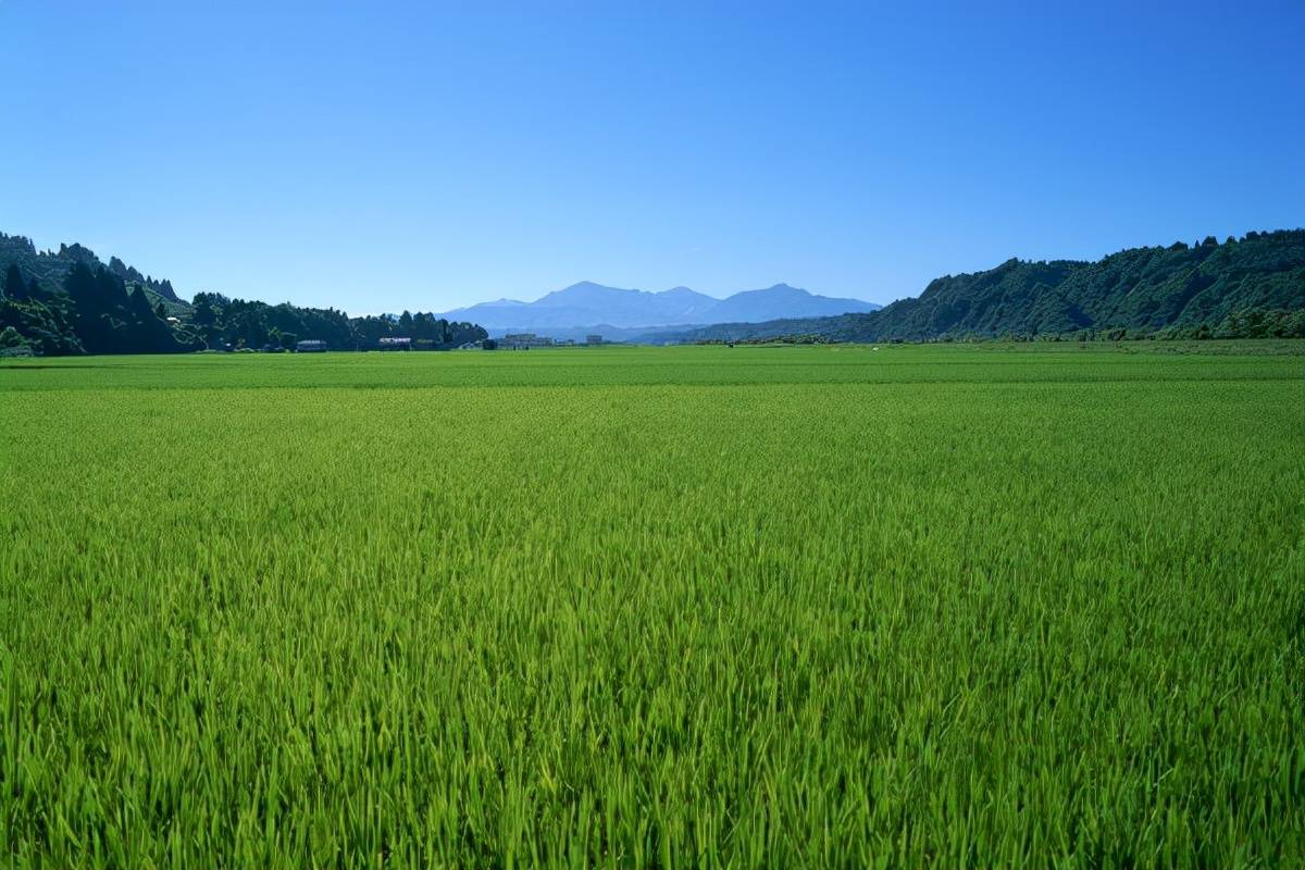 把握跳槽最佳时机