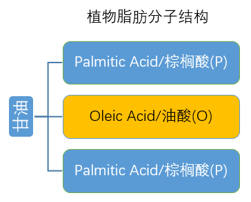 高端奶粉采用的OPO到底是什么神奇东西？