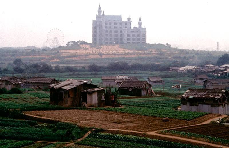 深圳为什么能在40年间从一个小渔村发展成国际大都市