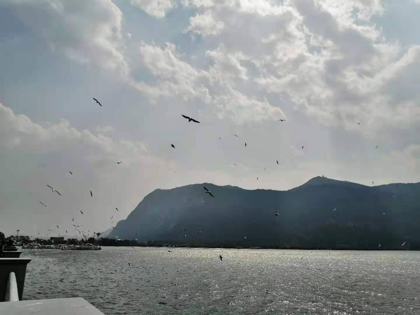 云南昆明西山公园，滇池一日游