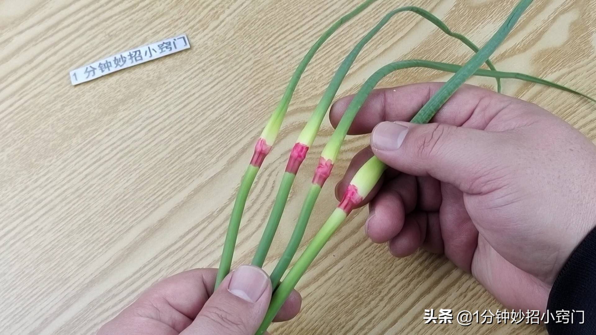 蒜苔有两种，绿头和红头，原来区别这么大，看完叮嘱家人别乱买