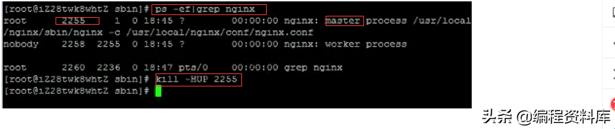 「Nginx」Linux常用命令------启动、停止、重启