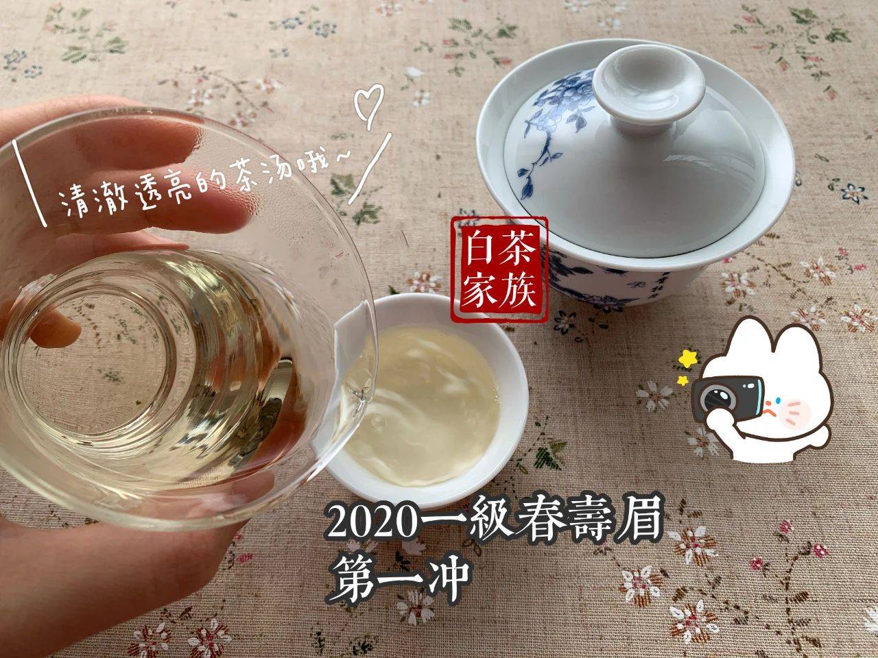 白茶存多少年才好喝？老茶真的比新茶味道更好吗？告诉你答案