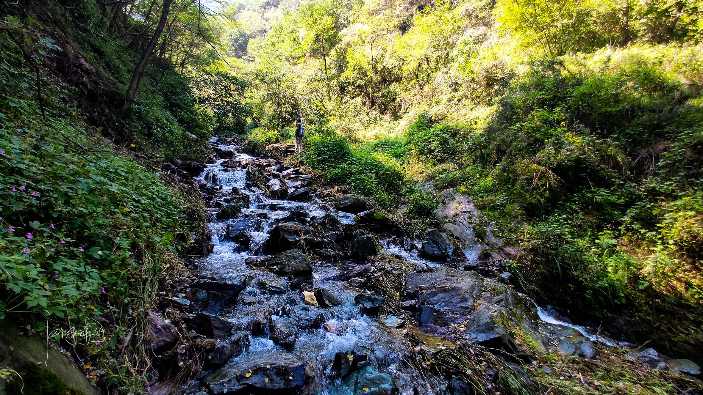 初秋秦岭周末休闲游秘境，西安周边野景区画风不一般，好玩还免费