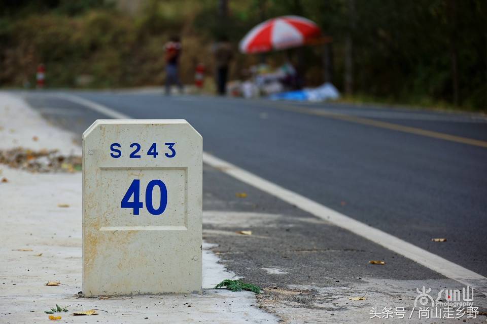 自驾游，怎么也得弄明白国内道路的这些编号吧？