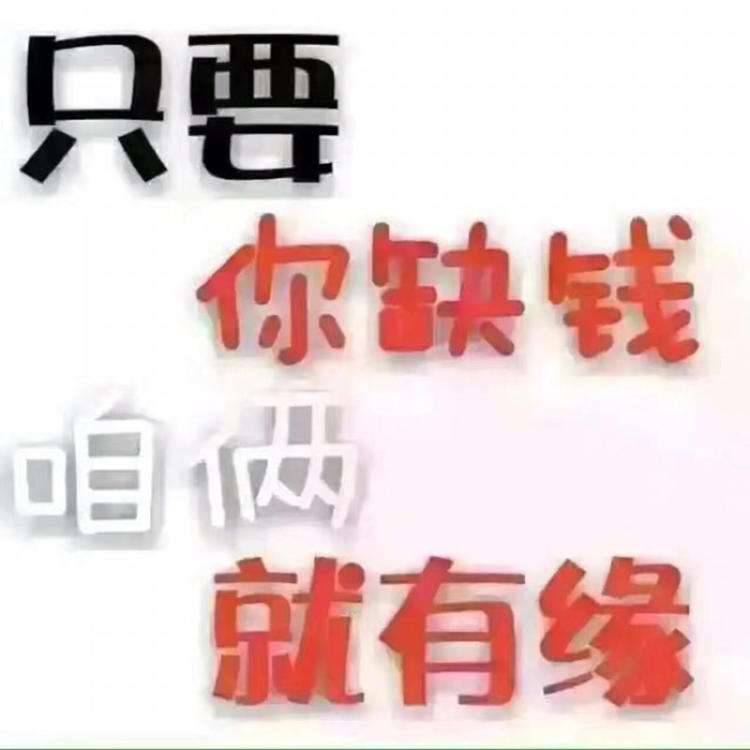 网贷技术欢迎咨询