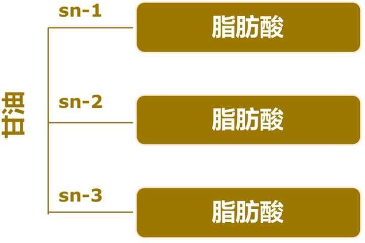 高端奶粉采用的OPO到底是什么神奇东西？