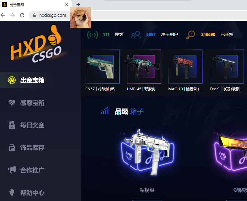 hxdcsgo开箱怎么样？为什么csgo的武器那么贵？