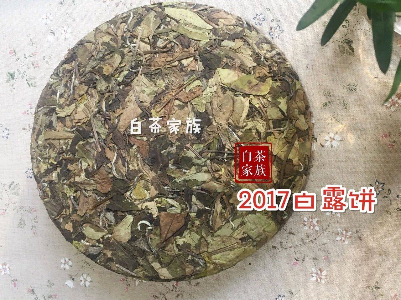 白茶存多少年才好喝？老茶真的比新茶味道更好吗？告诉你答案