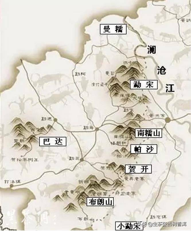 「普洱茶知识汇总」你想要了解的普洱茶知识全在这里