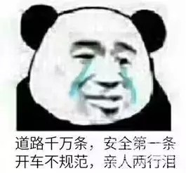 迷惑歌词大赏，我这些年都听了些什么