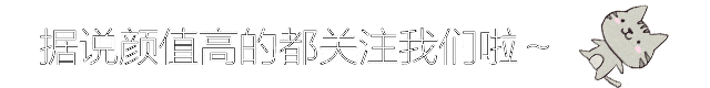 海贼王：索隆和乔巴！长兄如父！原来索隆从头到尾都在照顾乔巴？