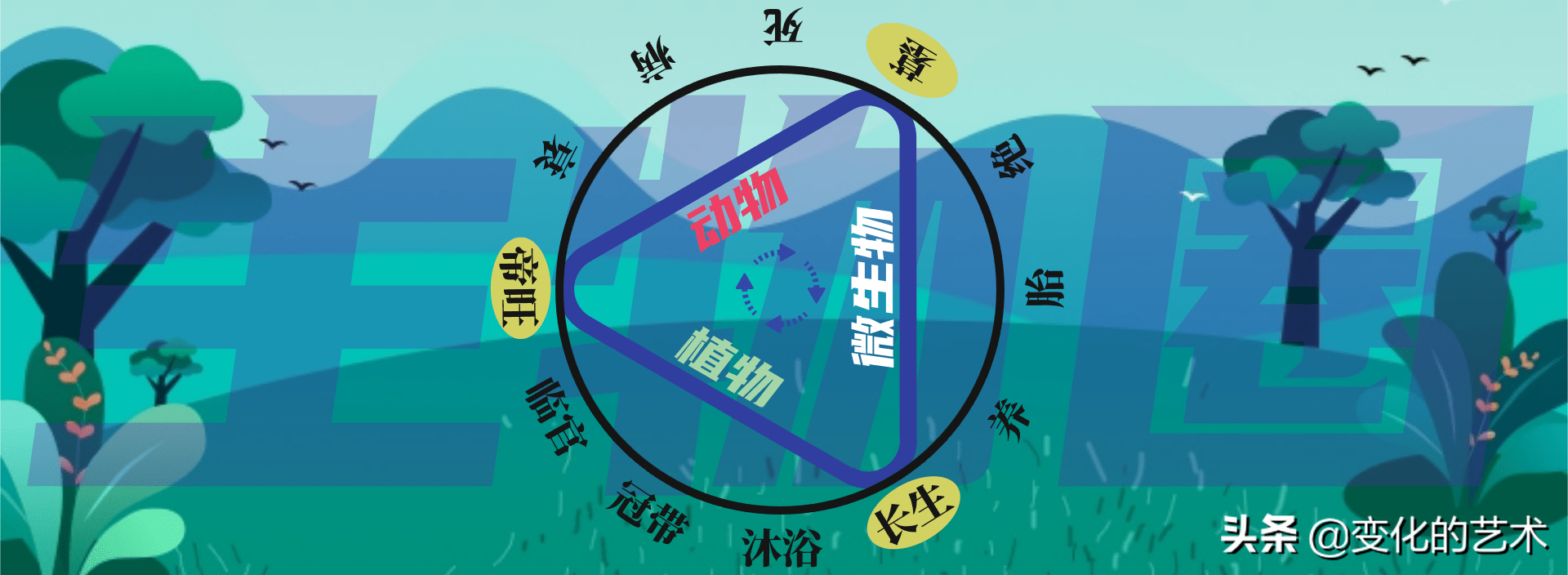 地支为什么要藏干？天地人指的是什么？五行力量如何测量和分布？