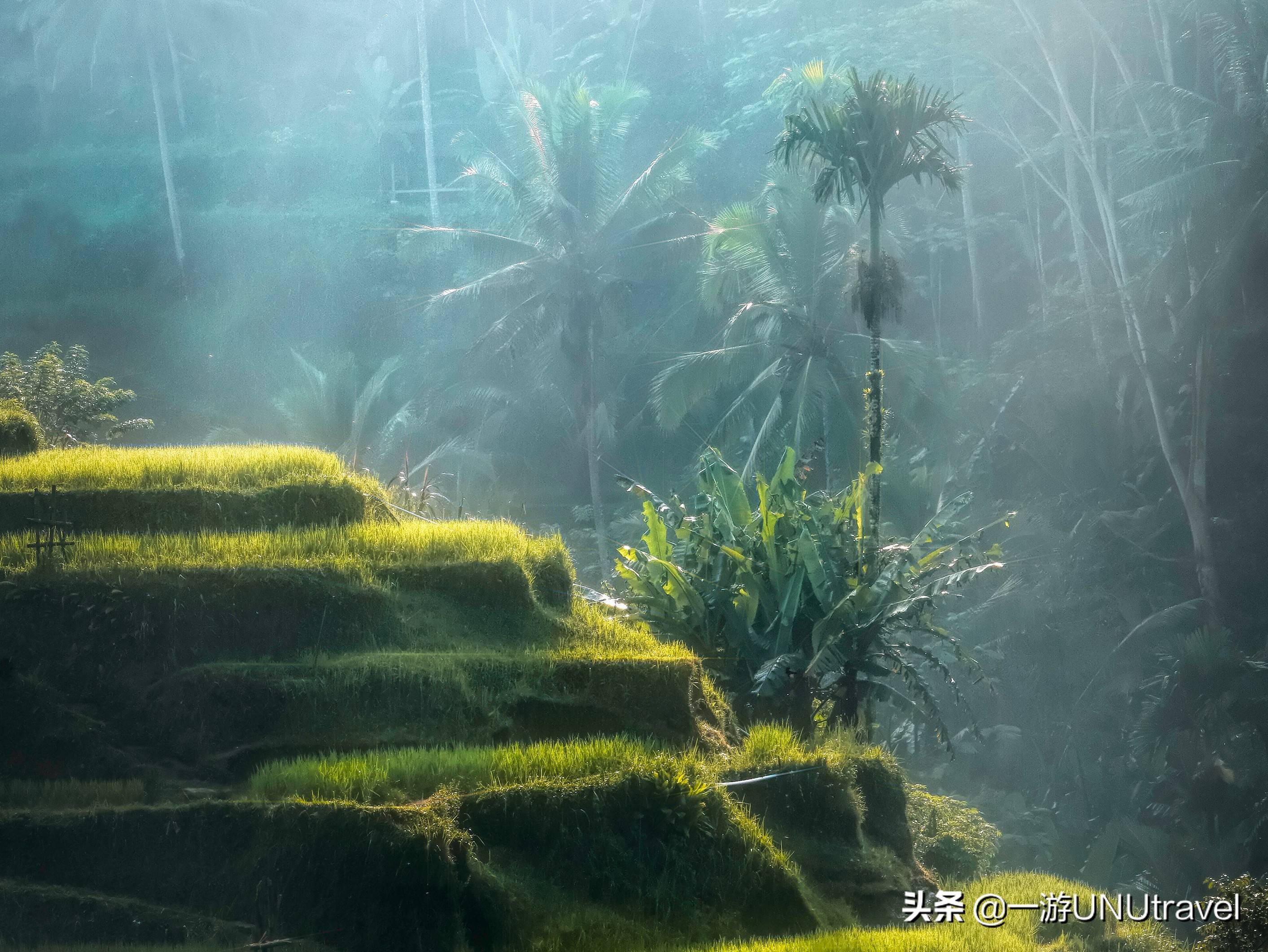 一生必去一次的巴厘岛，到底有哪些值得去的景点？