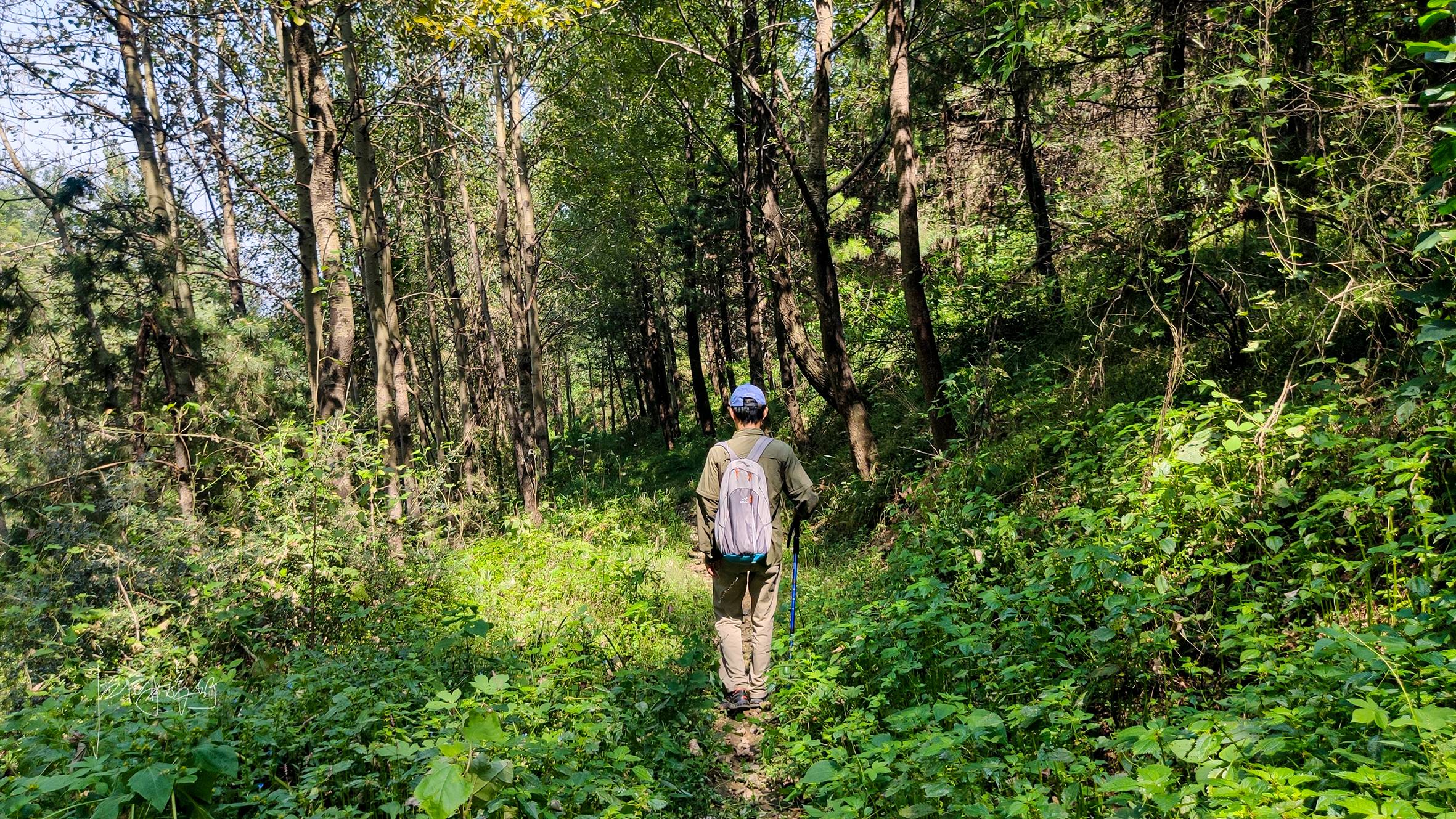 初秋秦岭周末休闲游秘境，西安周边野景区画风不一般，好玩还免费