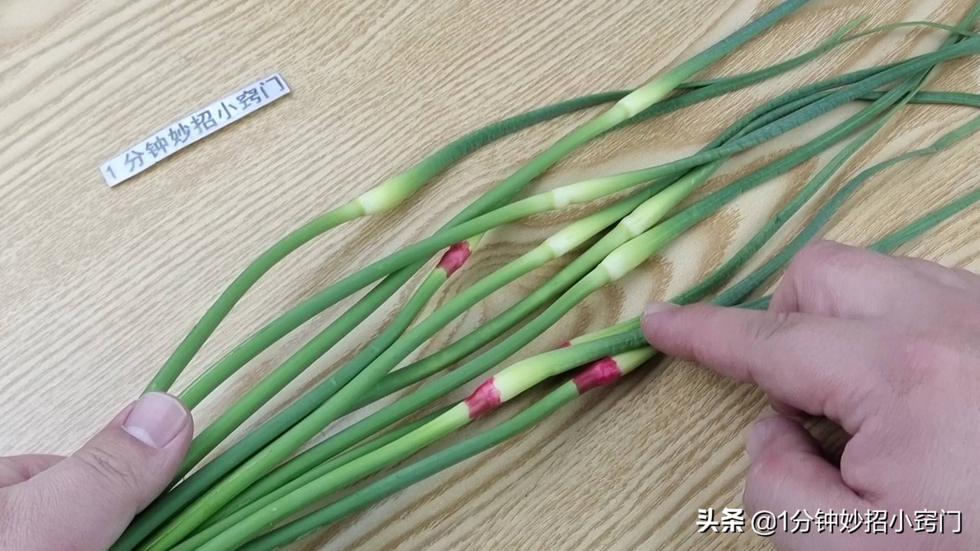 蒜苔有两种，绿头和红头，原来区别这么大，看完叮嘱家人别乱买