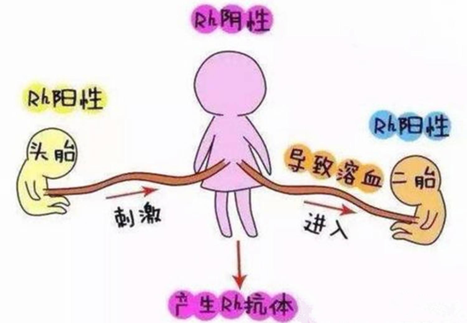 孕妈如果是这两种血型，第一胎最好“保住”，这对你很重要