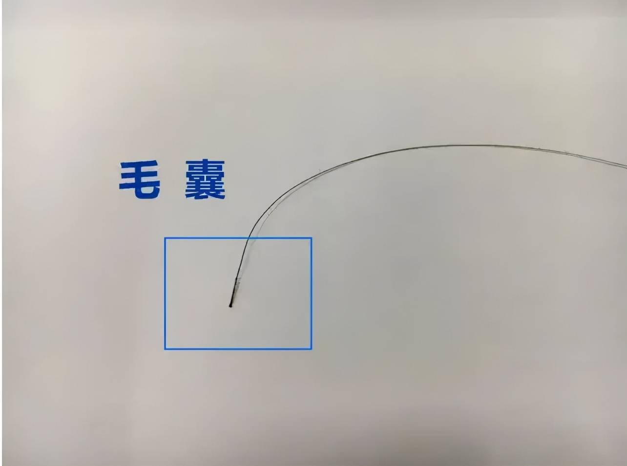 你知道在广州做亲子鉴定可以用头发，可这些你不知道