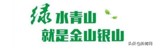 九美葡力负氧离子---改变房间环境，释放负离子