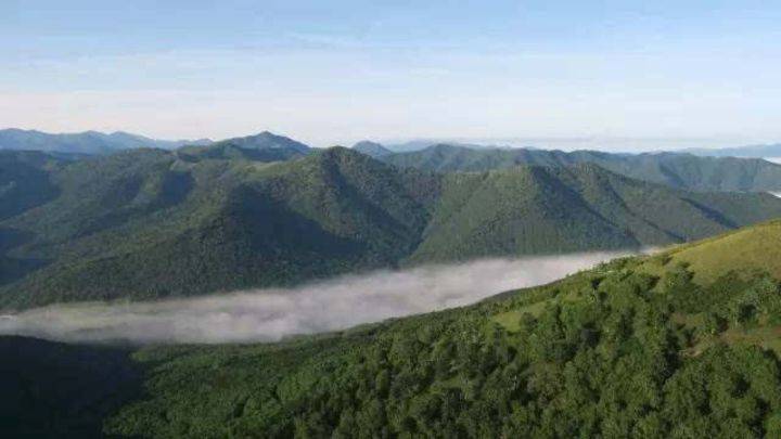 5-6月份的北海道，竟然可以比冬季更美！