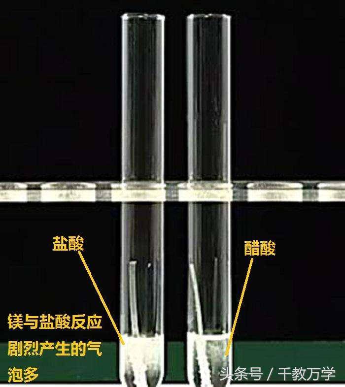 初三化学上册，镁的性质，镁与氧气、二氧化碳及酸的反应现象讲解