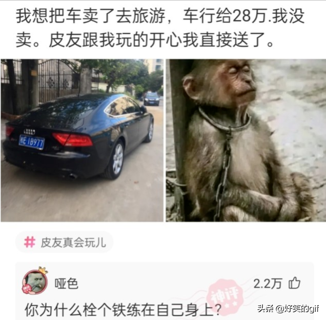 神回复：表弟高考173分，有什么学校推荐吗？神评论真是太有才了