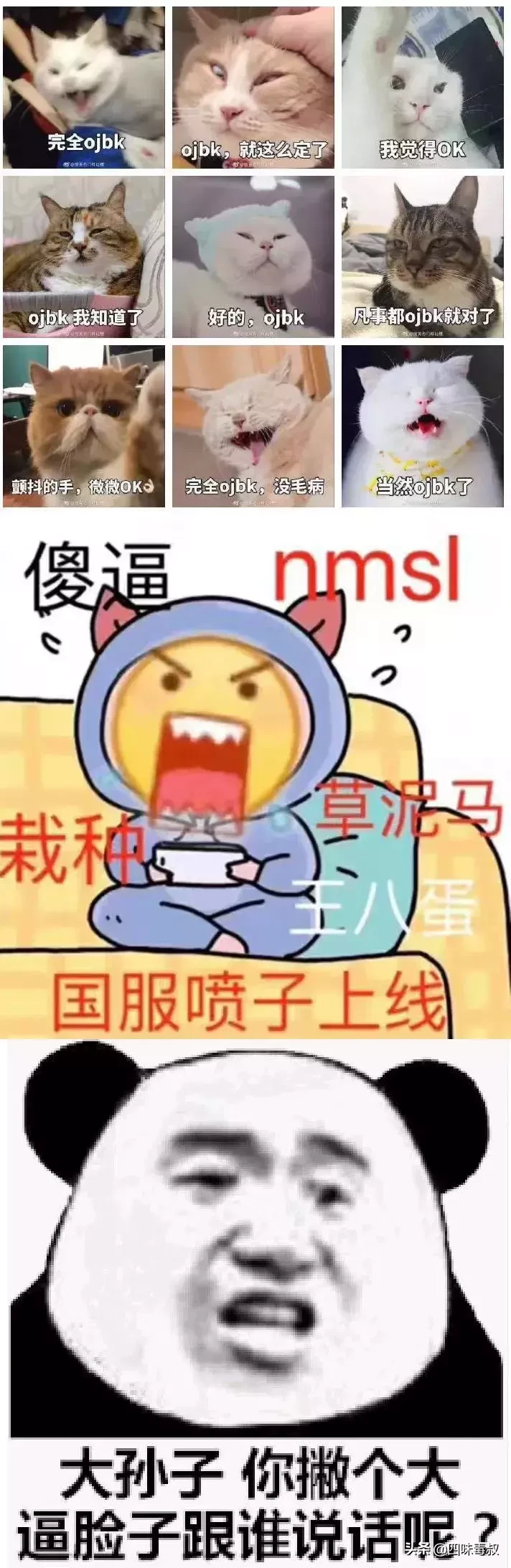 “nmsl”和“ojbk”这样的网络流行语真的“时髦”吗？