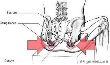 「姿态训练」你的坐姿正确吗，十大导致坐姿不良的原因与解决方案