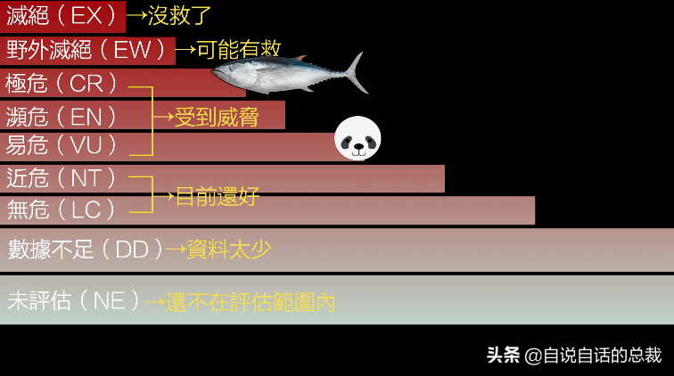 30年前只能做猫粮，今天为何变成奢侈品？蓝鳍金枪鱼为何如此贵