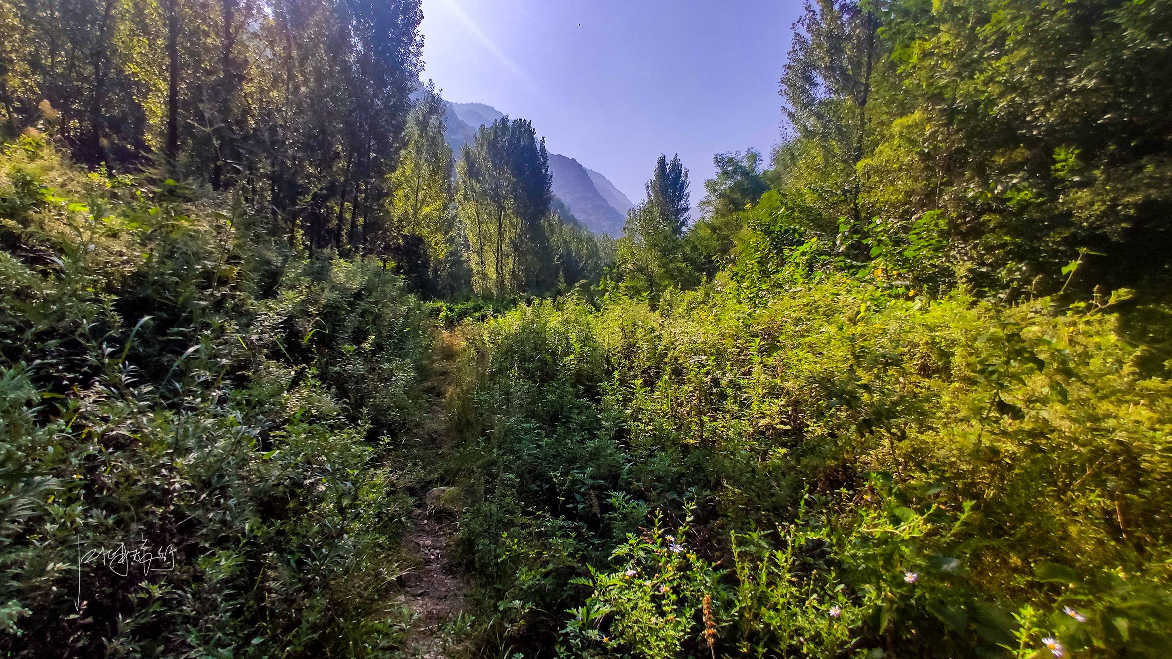 初秋秦岭周末休闲游秘境，西安周边野景区画风不一般，好玩还免费