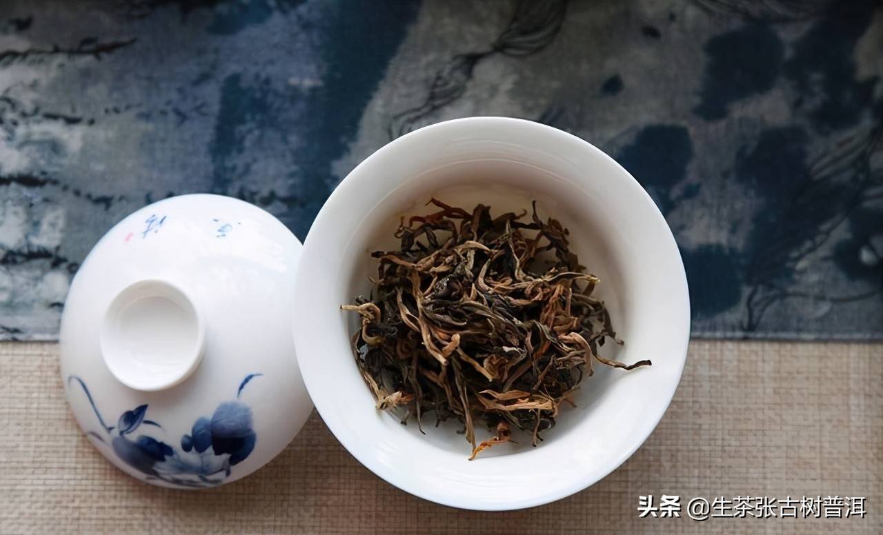 简述：普洱茶知识（产地、形态特征、生长环境），值得收藏