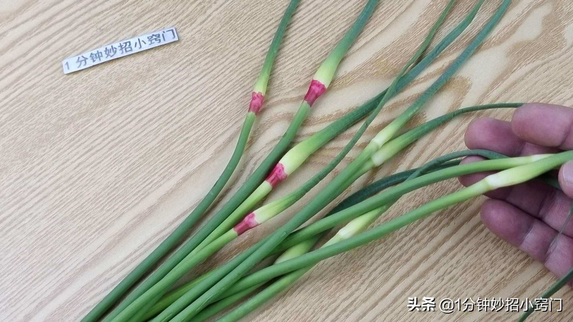 蒜苔有两种，绿头和红头，原来区别这么大，看完叮嘱家人别乱买