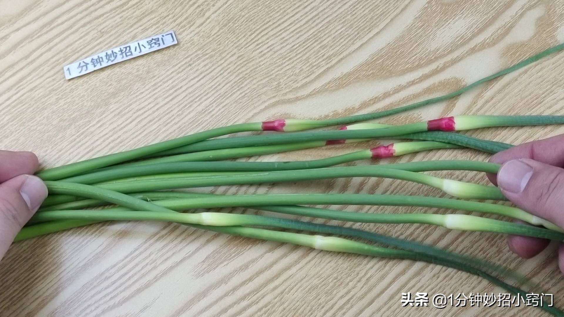 蒜苔有两种，绿头和红头，原来区别这么大，看完叮嘱家人别乱买