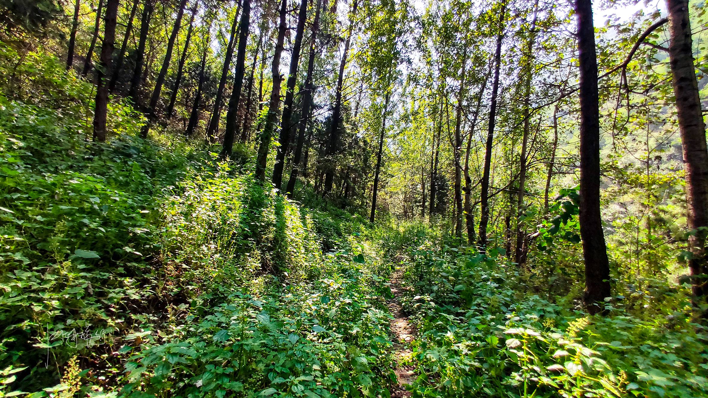 初秋秦岭周末休闲游秘境，西安周边野景区画风不一般，好玩还免费