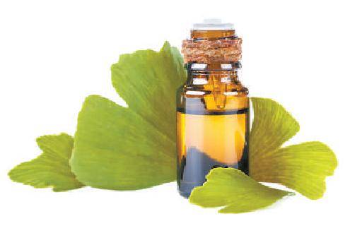 生物界活化石！银杏，彰显中华文明的植物“名片”