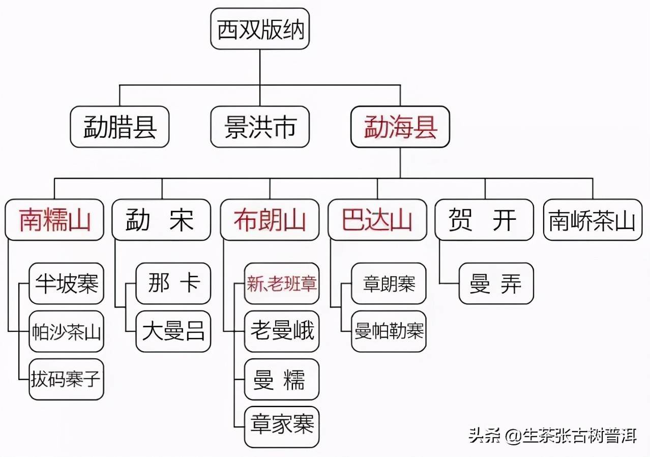 简述：普洱茶知识（产地、形态特征、生长环境），值得收藏