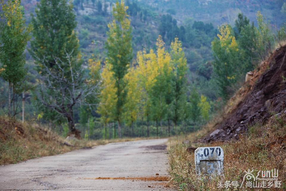 自驾游，怎么也得弄明白国内道路的这些编号吧？