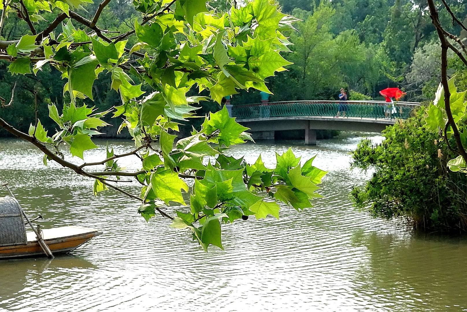 深春缓缓归 浅夏盈盈来