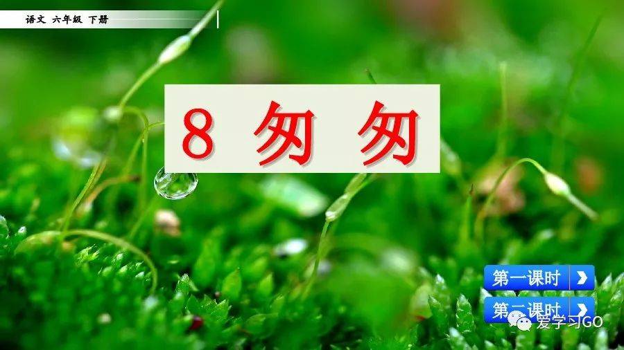 部编版小学语文六年级下册第8课《匆匆》图文讲解 知识要点