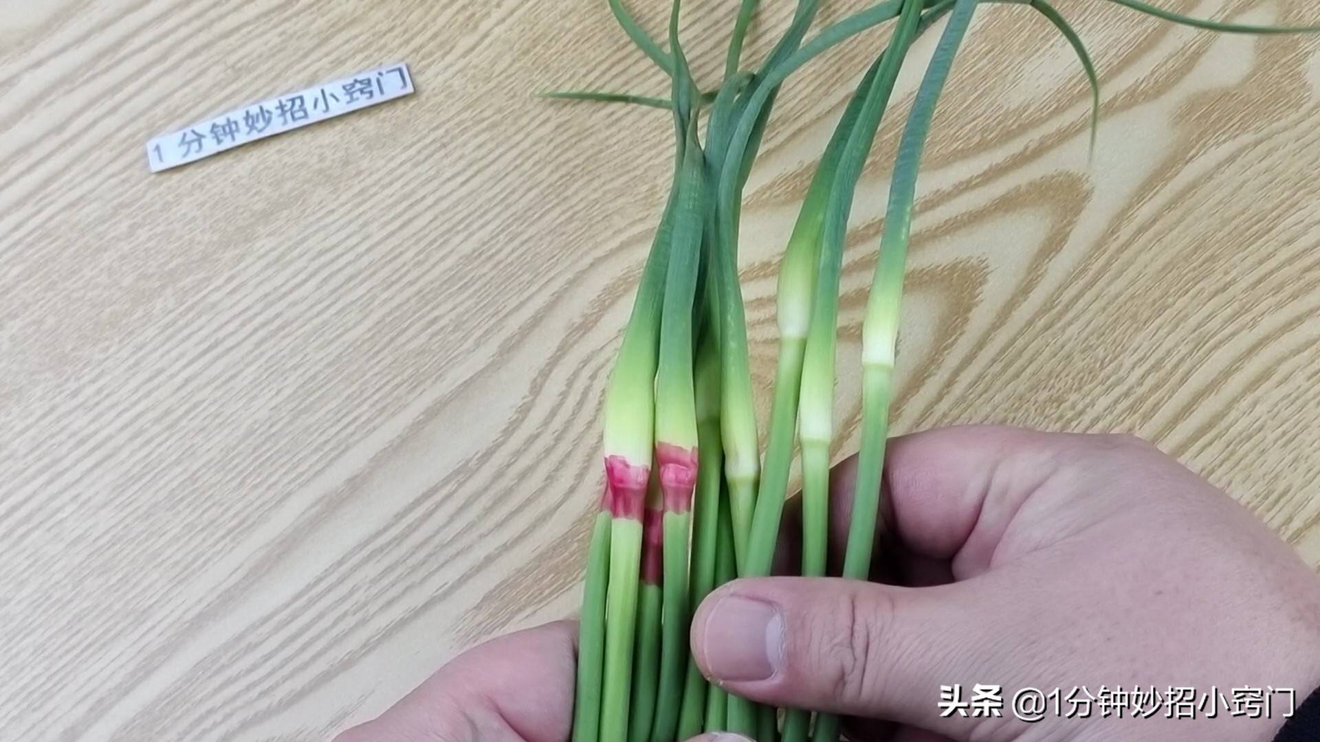 蒜苔有两种，绿头和红头，原来区别这么大，看完叮嘱家人别乱买