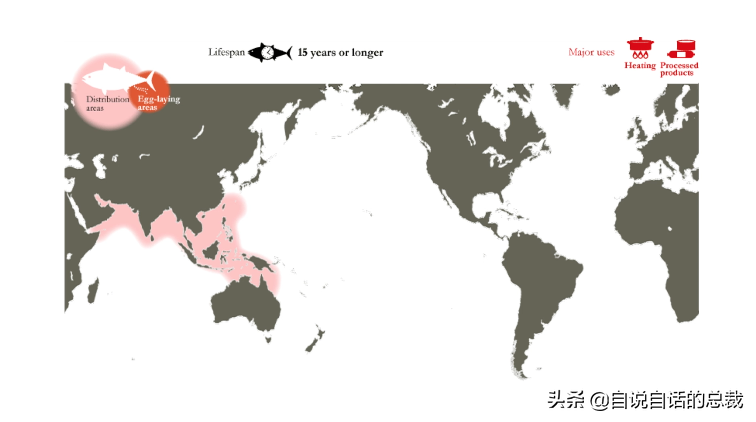 30年前只能做猫粮，今天为何变成奢侈品？蓝鳍金枪鱼为何如此贵