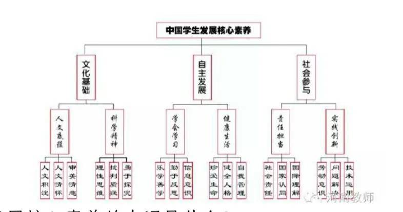 核心素养的几点理解