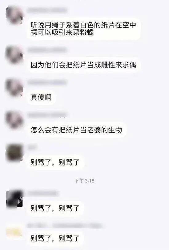 纸性恋：对二次元人物产生真挚的爱情，可能吗？｜新型性取向研究