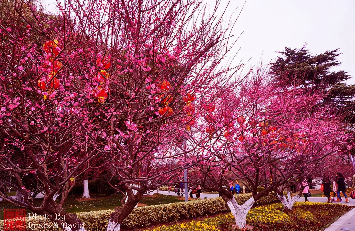 江苏常州旅行攻略｜来常州必玩的7个景点