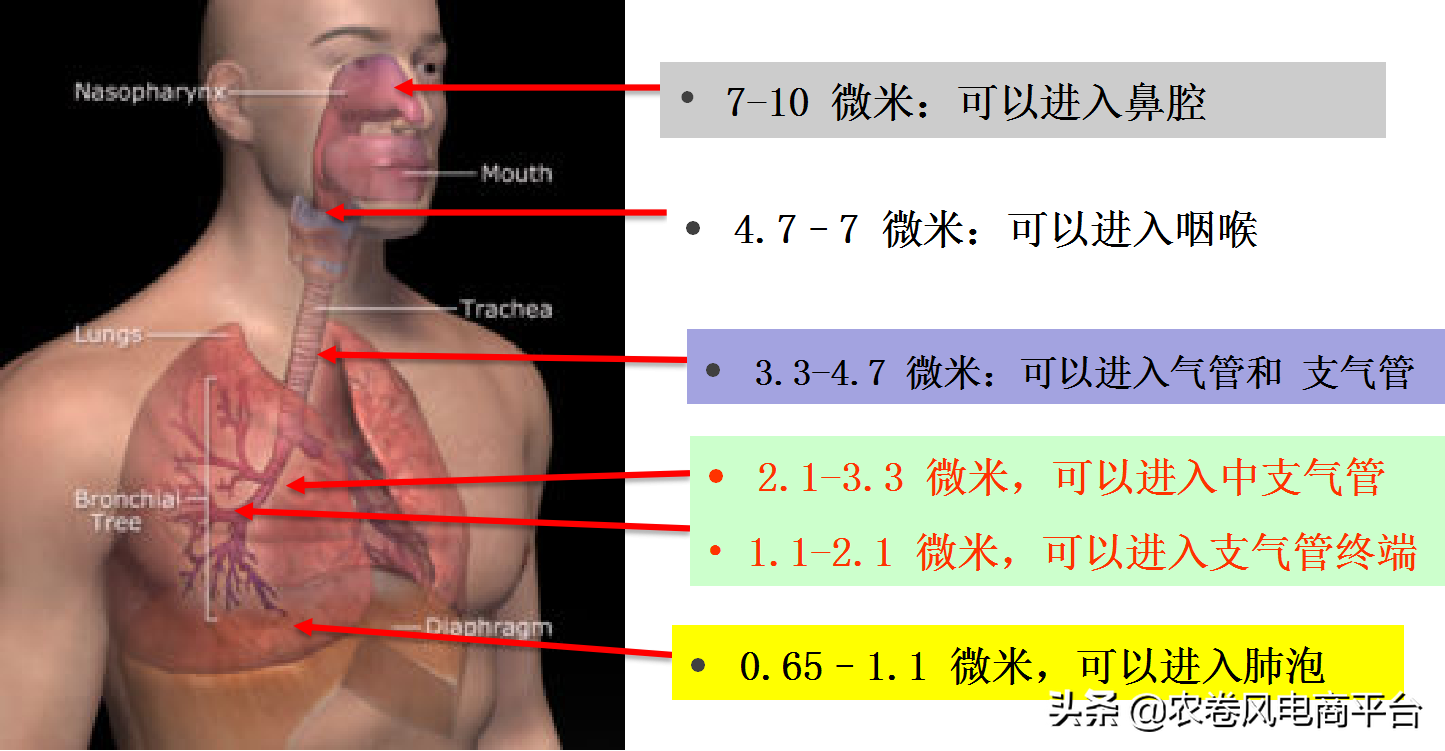 农卷风AI智慧农业：关于PM10耕作指导及耕作改善说明