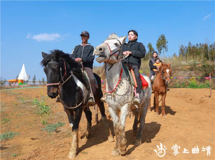 春节，曲靖这些地方有玩场