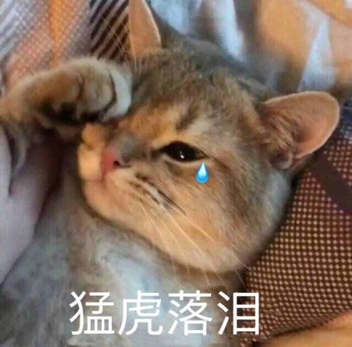 猫咪绝育的好处和坏处，这些宠物医生不会告诉你