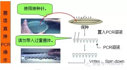 分子构建不会做？看这篇就够了