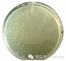 分子构建不会做？看这篇就够了