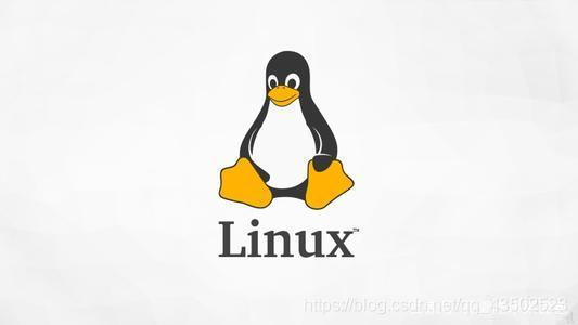 Linux新手入门系列：Linux版本说明